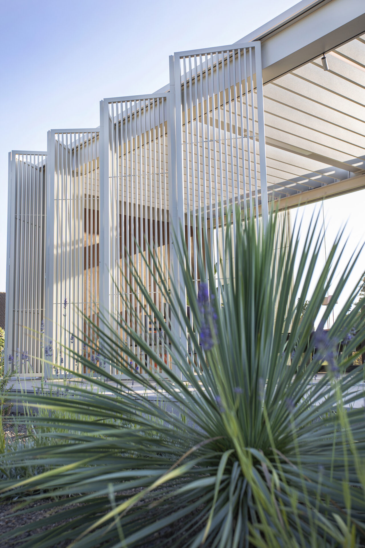 Renson Amani-Pergola Renson Amani-Pergola